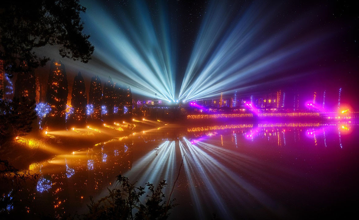 Lights show off a gorgeous yard at night